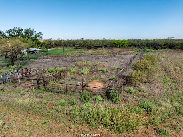 view of yard with a rural view