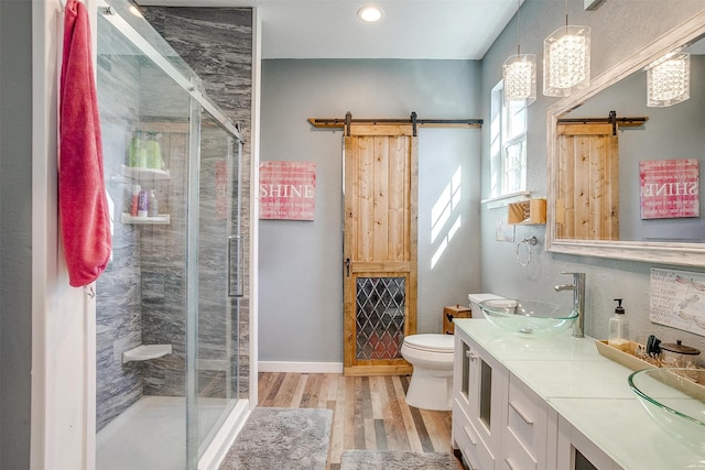 full bathroom featuring toilet, wood finished floors, a sink, a shower stall, and double vanity