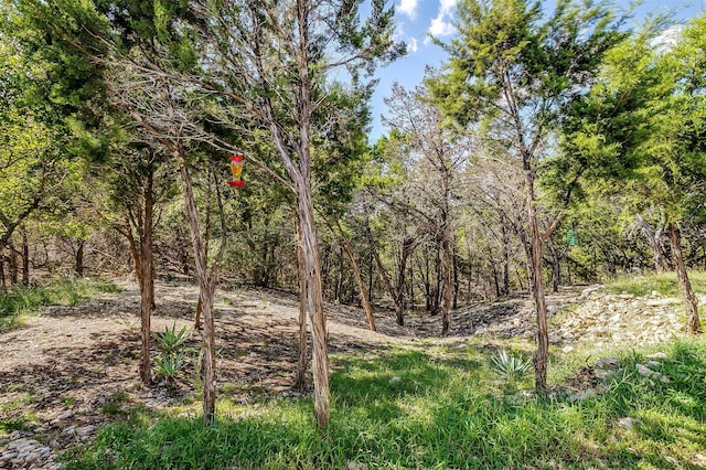 view of landscape with a wooded view