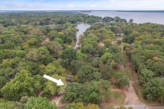 bird's eye view with a wooded view and a water view