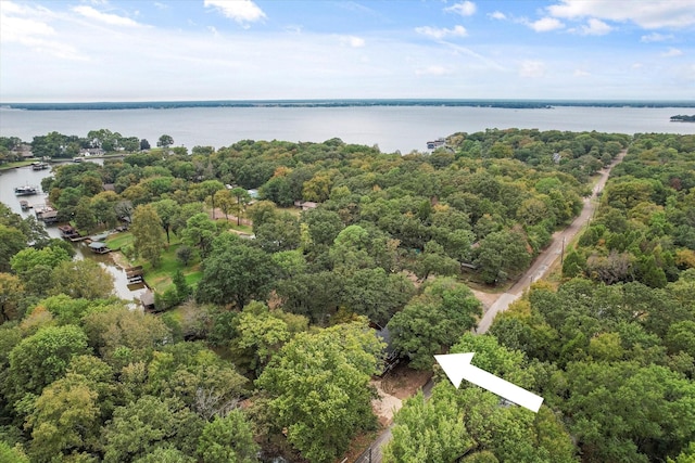 drone / aerial view with a water view and a view of trees