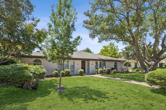 ranch-style house with a front lawn