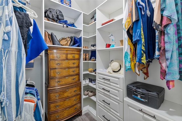 walk in closet featuring wood-type flooring