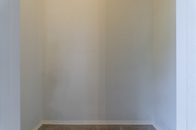 empty room featuring carpet flooring