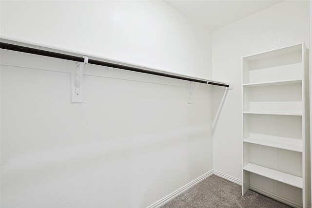 3913 Sky Dr, Sherman, TX 75090 - spacious closet featuring light colored carpet