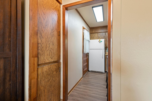 corridor featuring light wood-type flooring and wood walls