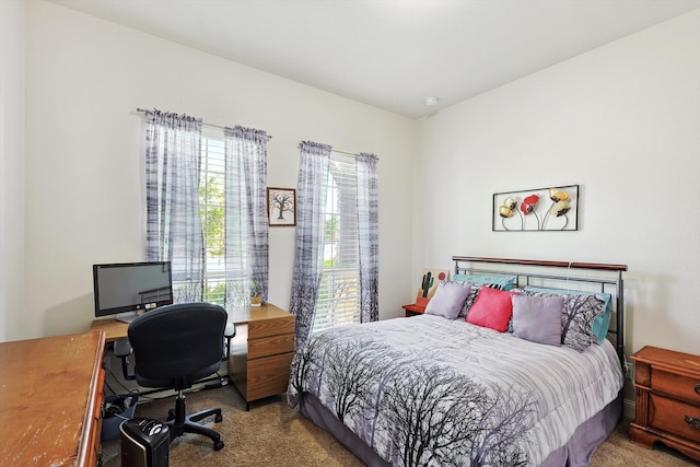 bedroom with carpet flooring