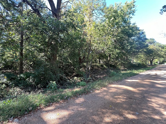 Listing photo 2 for TBD Mapuana Road, Sadler TX 76264