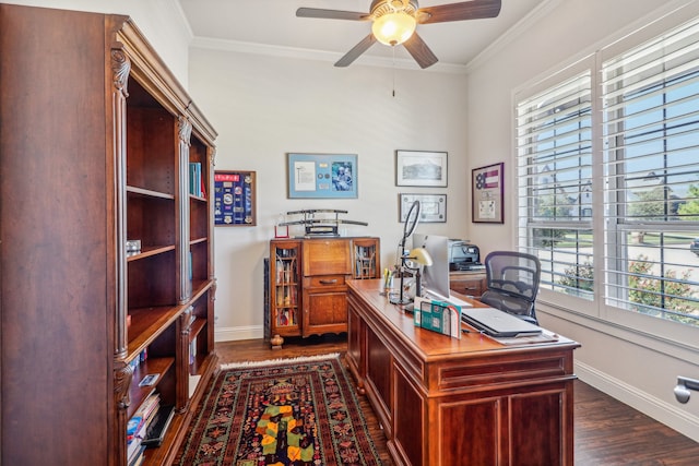 office with dark hardwood / wood-style flooring, crown molding, and a wealth of natural light