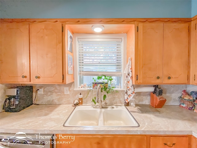 kitchen featuring decorative backsplash and sink