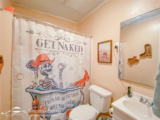 bathroom featuring vanity, toilet, and ornamental molding