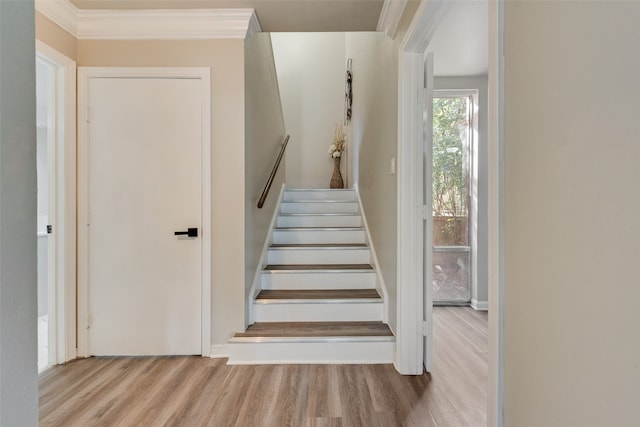 staircase featuring ornamental molding and hardwood / wood-style floors