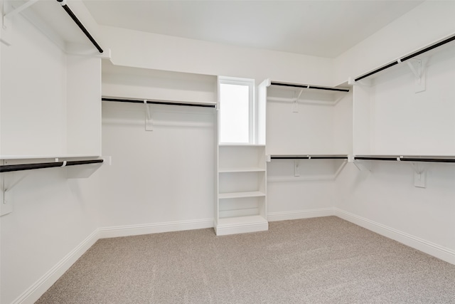 spacious closet featuring light colored carpet