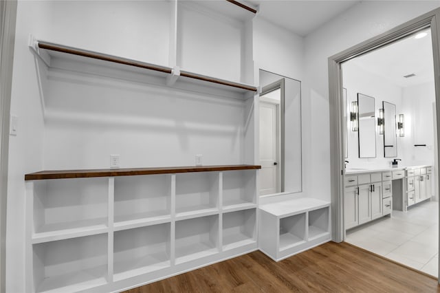 spacious closet featuring light hardwood / wood-style floors and sink