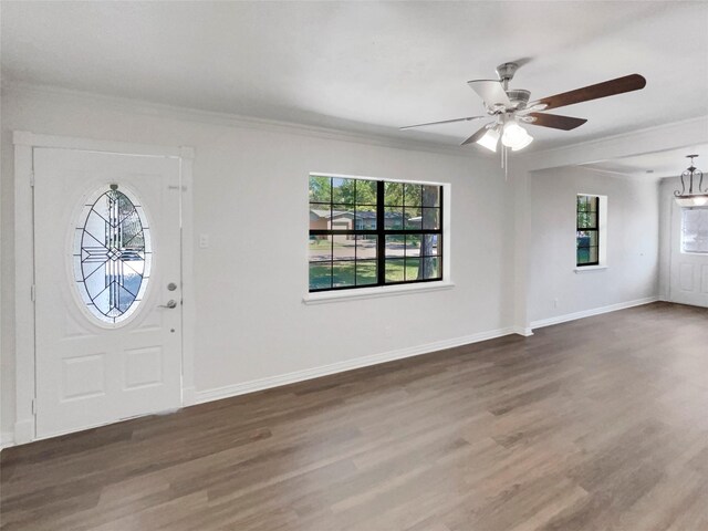 foyer entrance with ceiling fan, dark hardwood / wood-style floors, and a healthy amount of sunlight