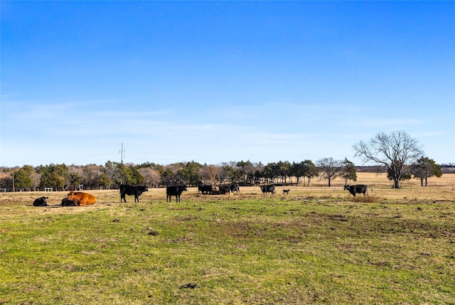 view of yard featuring a rural view