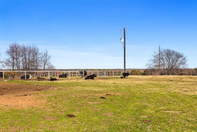 view of yard featuring a rural view