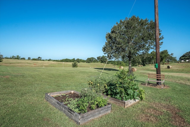 view of yard with a rural view