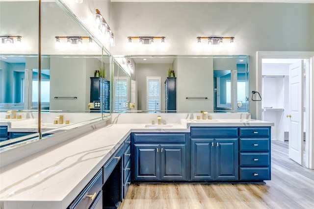 bathroom featuring wood-type flooring and vanity