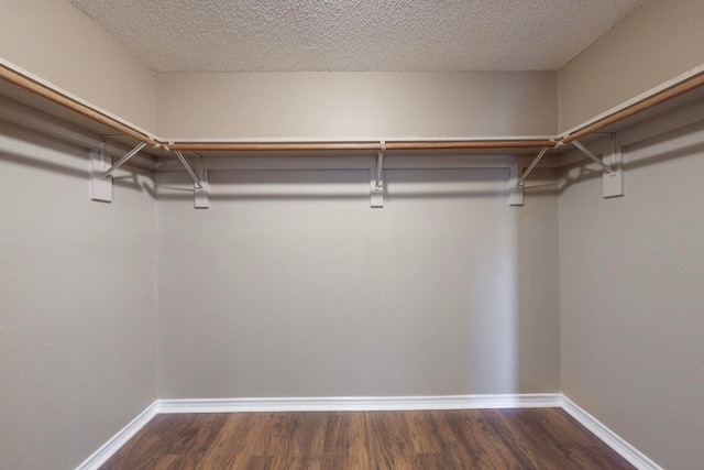 spacious closet with dark hardwood / wood-style flooring