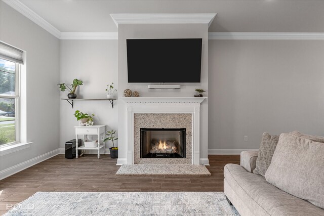 living room featuring wood-type flooring, ornamental molding, and a premium fireplace