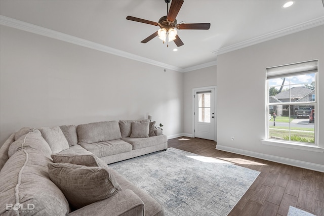 living room featuring crown molding, dark hardwood / wood-style flooring, and ceiling fan