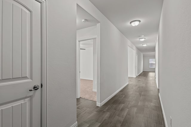 hallway with dark hardwood / wood-style floors