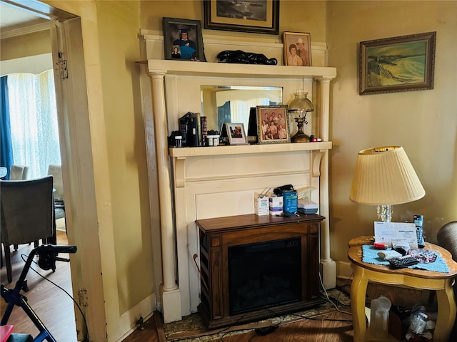 details featuring hardwood / wood-style flooring and ornamental molding