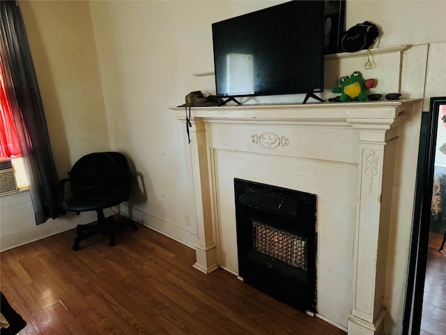 details with wood-type flooring and a fireplace