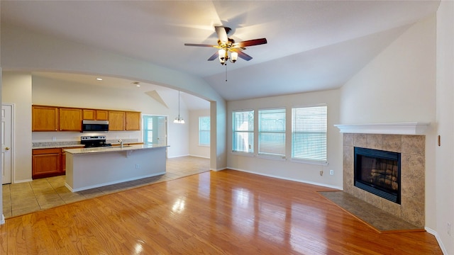 kitchen featuring light wood-type flooring, lofted ceiling, a fireplace, stainless steel appliances, and ceiling fan