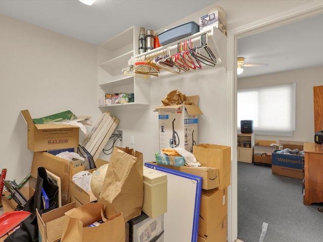 storage with ceiling fan