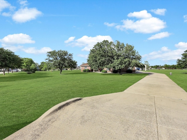 view of community with a yard