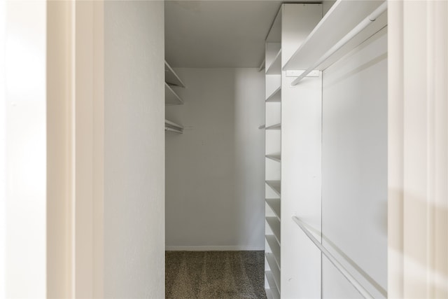 walk in closet with dark colored carpet