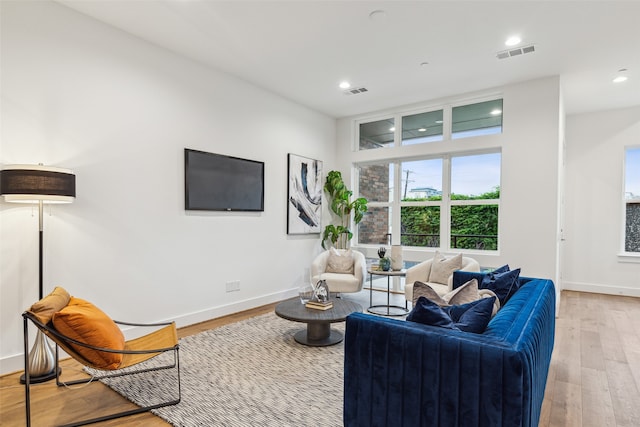 living room featuring light hardwood / wood-style floors