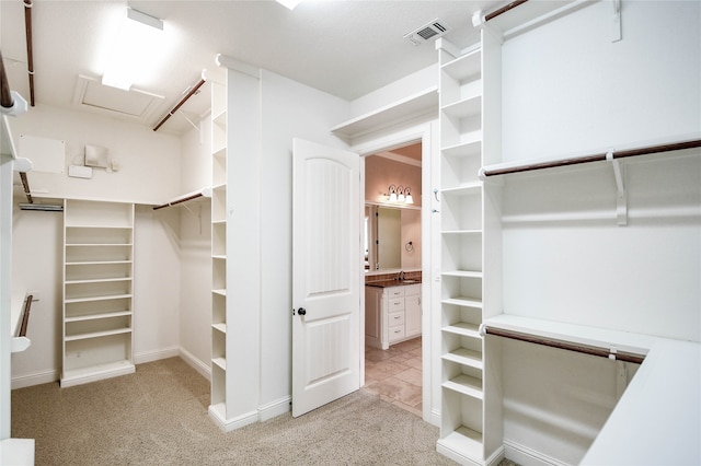 spacious closet featuring light carpet and sink