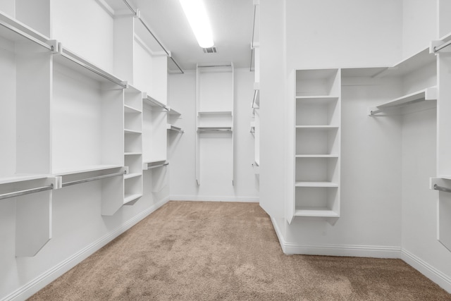 spacious closet featuring light carpet