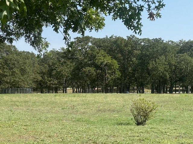 view of local wilderness with a rural view