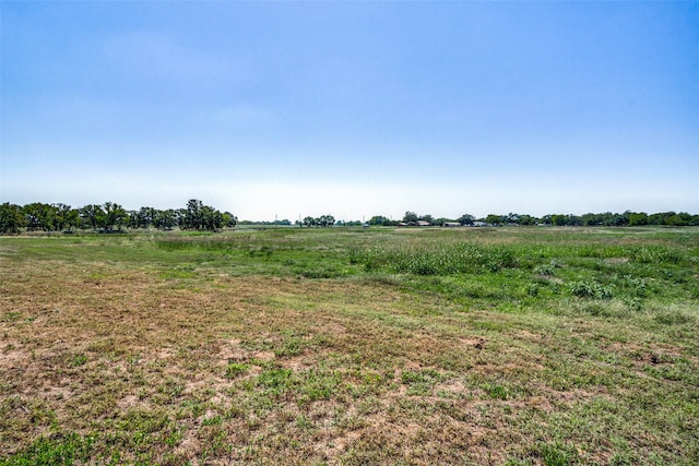 view of nature with a rural view