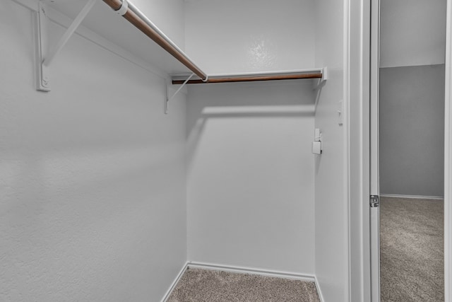 walk in closet with carpet floors