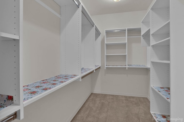 spacious closet with light colored carpet