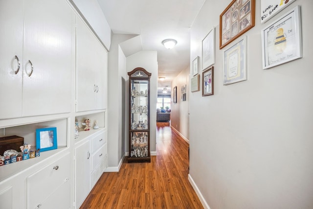 hall featuring wood-type flooring