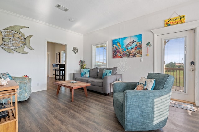 living room with a wealth of natural light and dark hardwood / wood-style floors