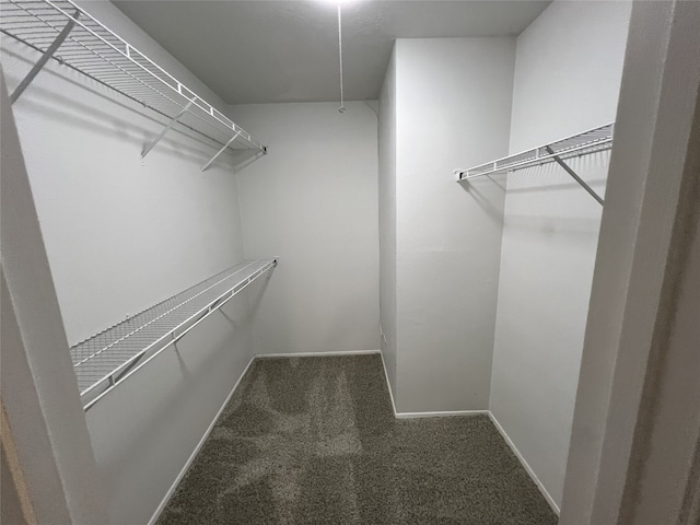 spacious closet featuring dark colored carpet