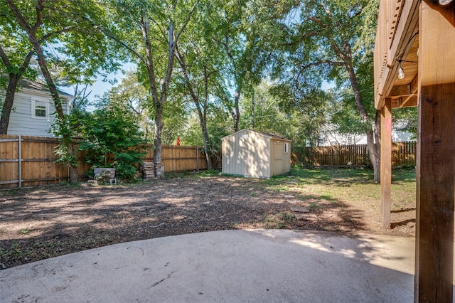 view of yard with a storage unit and a patio area