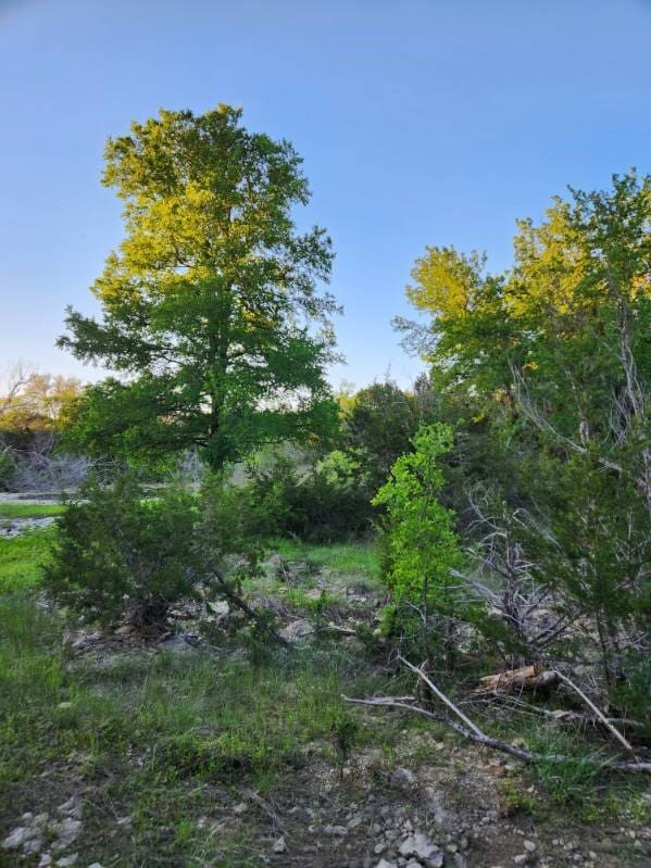 Listing photo 3 for 2516 County Road 328, Glen Rose TX 76043