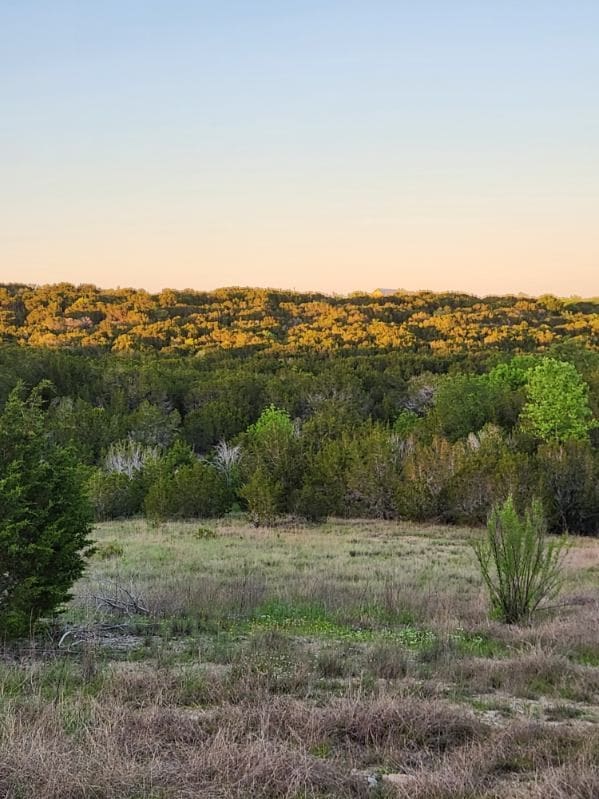 Listing photo 3 for 2516 County Road 328, Glen Rose TX 76043