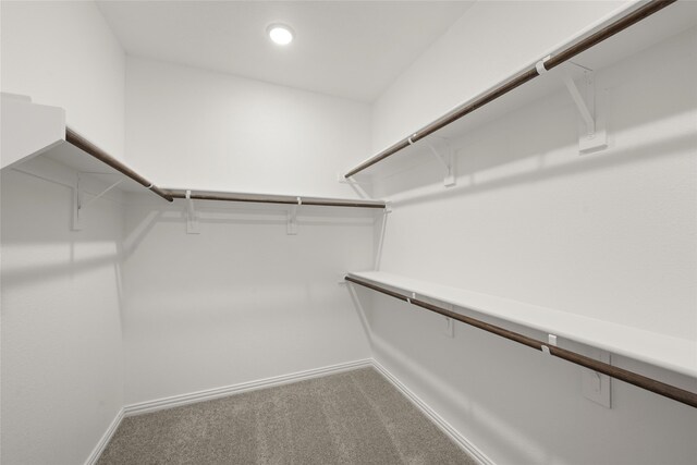 spacious closet featuring carpet floors