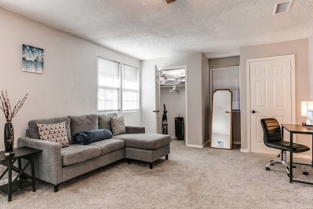 carpeted living room with a textured ceiling