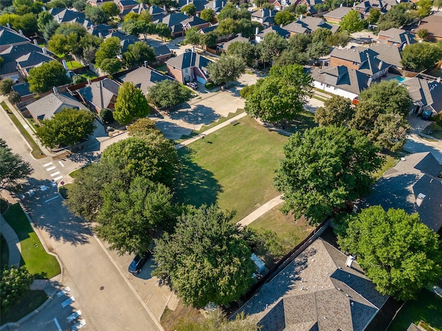 bird's eye view