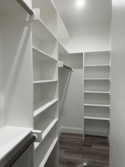 spacious closet with dark wood-type flooring